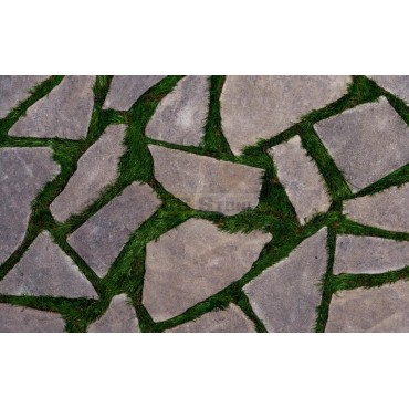 AMORPHIC BAZALT ESKİTME DISK